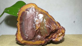 料石專場 454 期 一站式銷售與安裝服務全解析